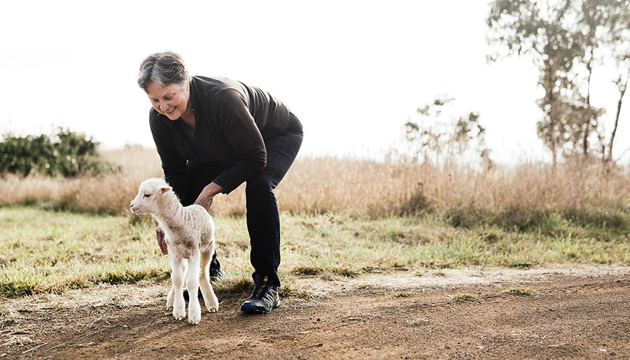 Sustainable_inline_wool-and-greenhouse-gas.jpg