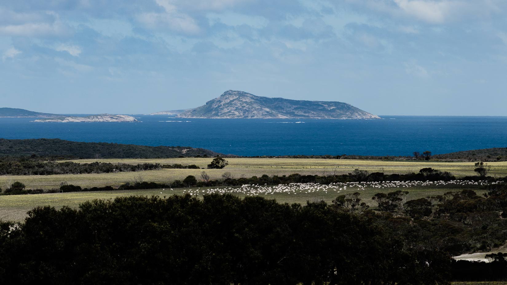 Dalla natura, per la natura